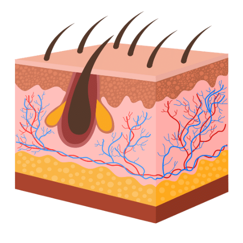 Biotin Injections for Hair Growth, Skin Health, and Nail Strength at Ala Care MedSpa